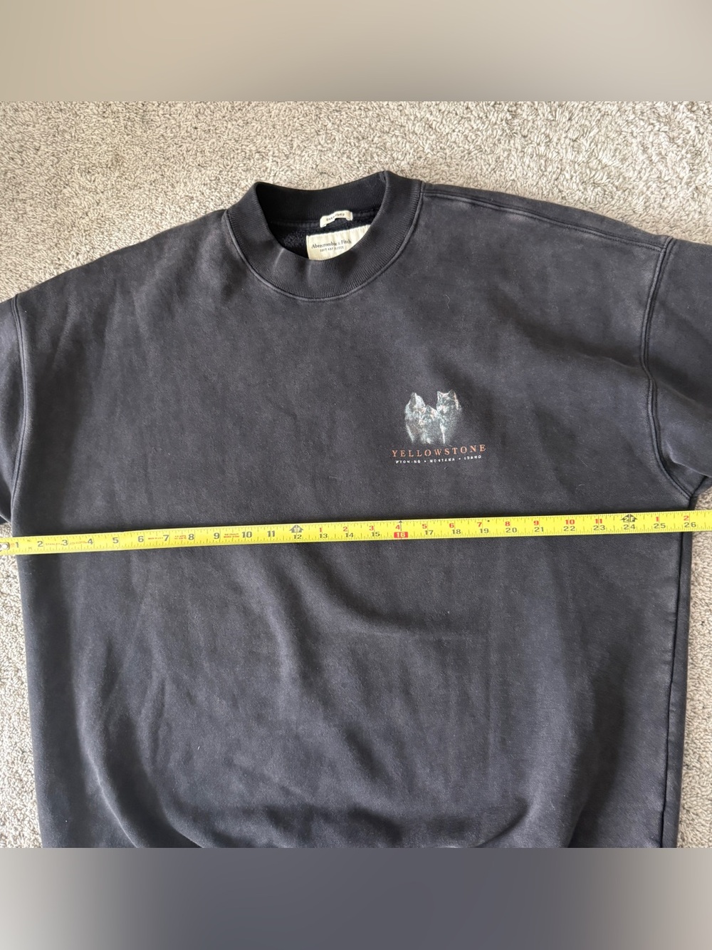 Abercrombie Soft AF Oversized Fleece Vintage Yellowstone Graphic Size Large - Picture 6 of 8